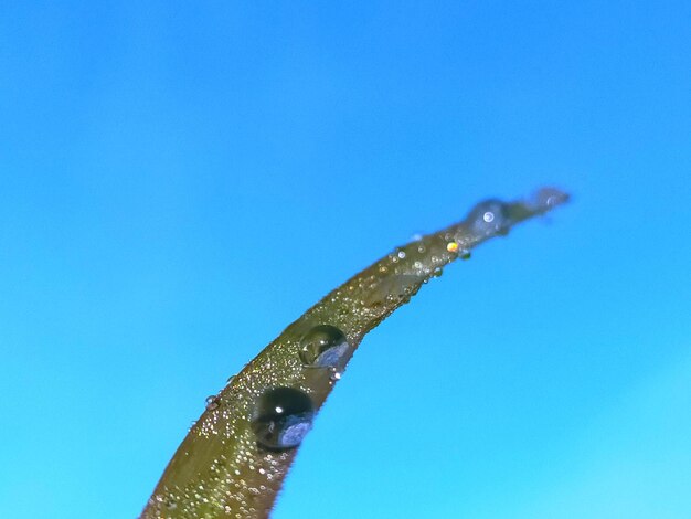 Close-up of water drop on blue sky