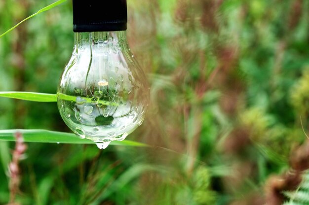 Photo close-up of water drop on grass