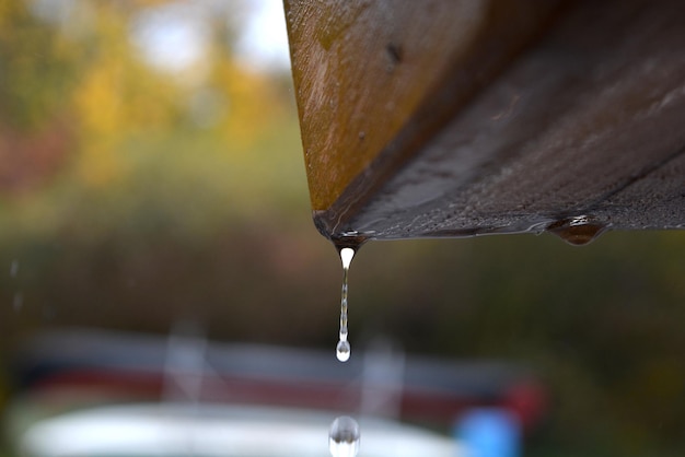 Foto close-up di una goccia d'acqua sulla foglia