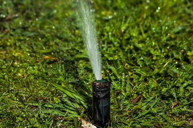 Photo close-up of water drop on plants in field