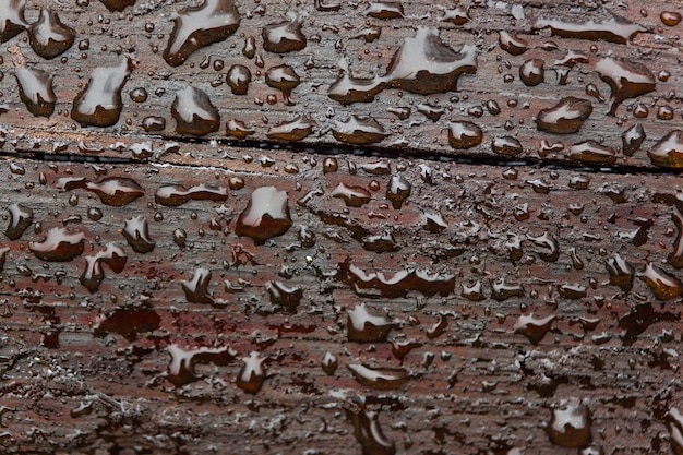 Close up of water droplets on blackboard