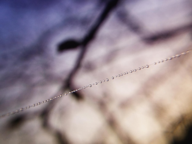 Foto close-up di gocce d'acqua sul filo spinato