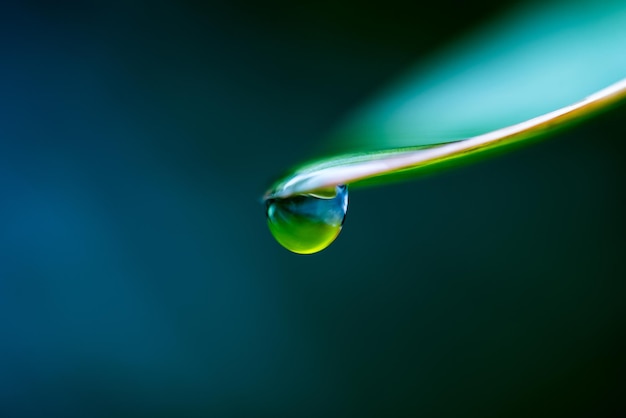 close-up of water drops over black background