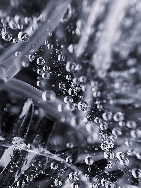 Close-up of water drops on bubbles