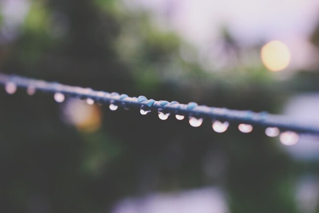 Foto close-up di gocce d'acqua sul cavo