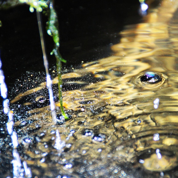 Foto close-up di gocce d'acqua su vetro