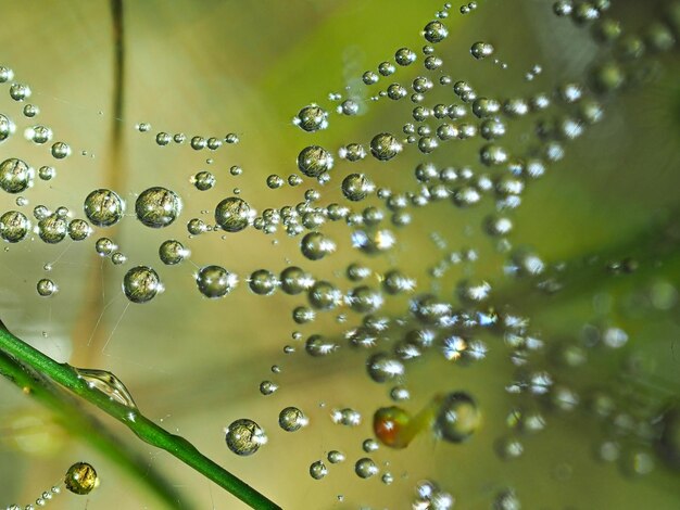 Photo close-up of water drops on glass