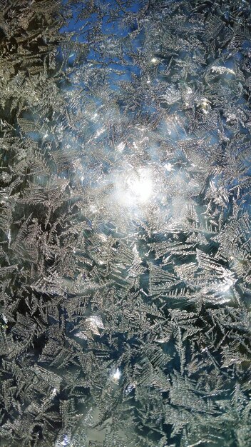 Close-up of water drops on glass