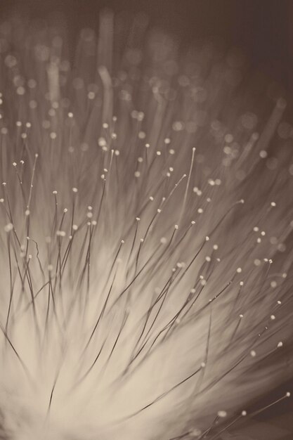 Photo close-up of water drops on glass