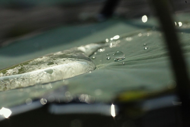 Photo close-up of water drops on glass