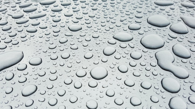 ガラスの上の水滴のクローズアップ