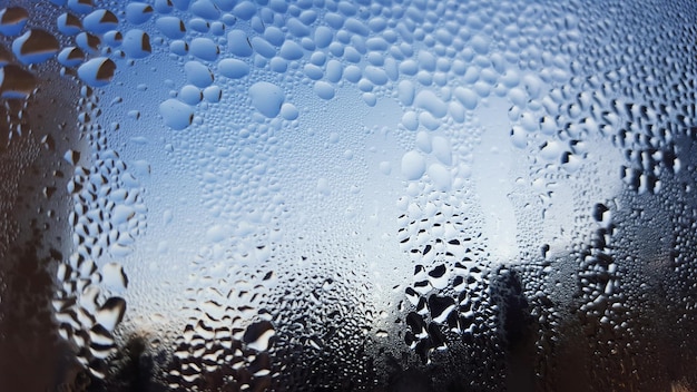 Close-up of water drops on leaf