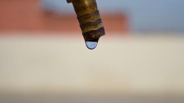 Foto prossimo piano delle gocce d'acqua sulla foglia