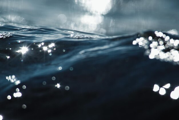 Photo close-up of water drops on leaf