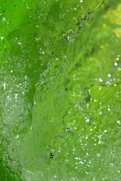 Photo close-up of water drops on leaf