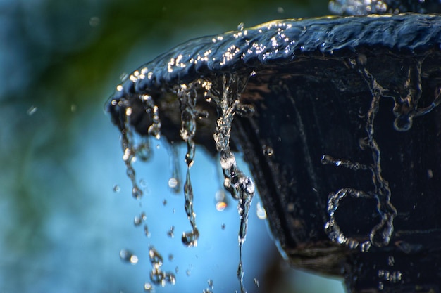 Close-up of water drops on leaf