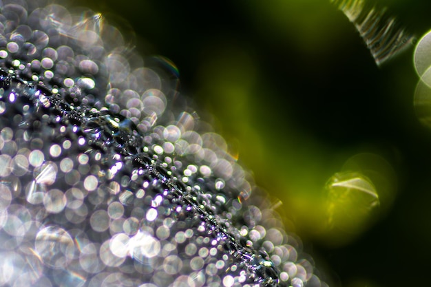 Photo close-up of water drops macro shot images for technology and biology