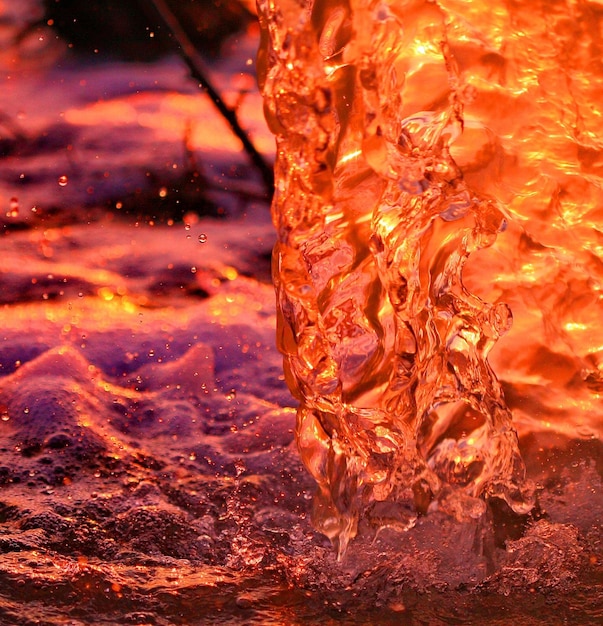 Foto prossimo piano delle gocce d'acqua sulla foglia d'arancia