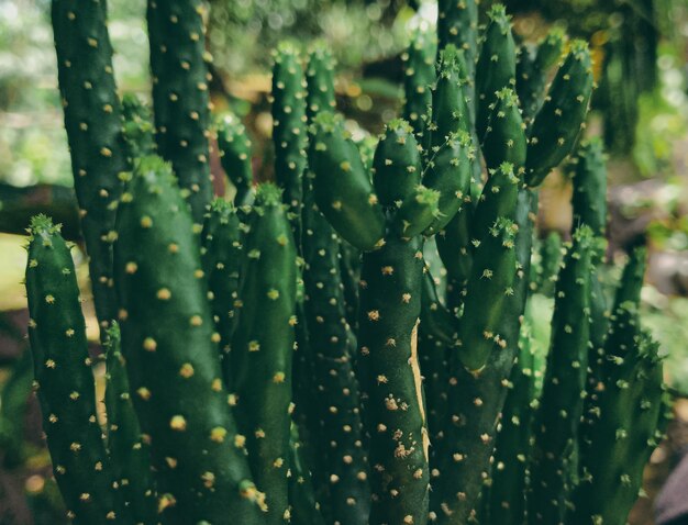 Close-up of water drops on plant