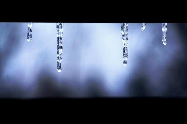Photo close-up of water drops on plant