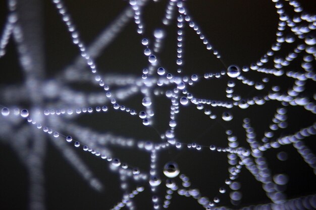 Photo close-up of water drops on spider web