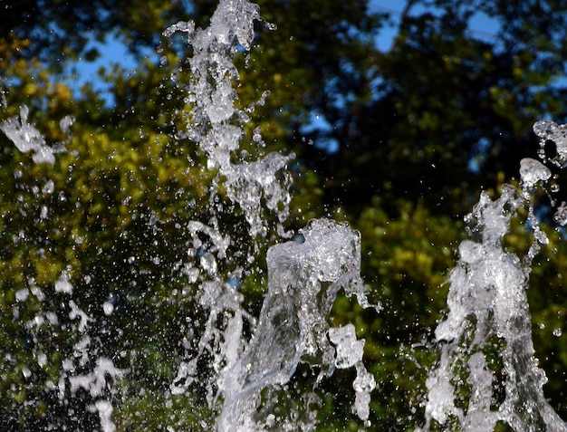 Foto prossimo piano di gocce d'acqua sulla rete di ragno