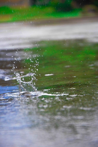 Foto close-up di gocce d'acqua sulla superficie