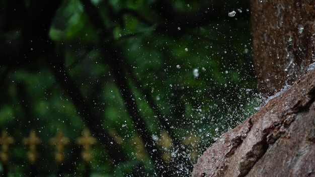 Foto prossimo piano delle gocce d'acqua sul tronco dell'albero di notte