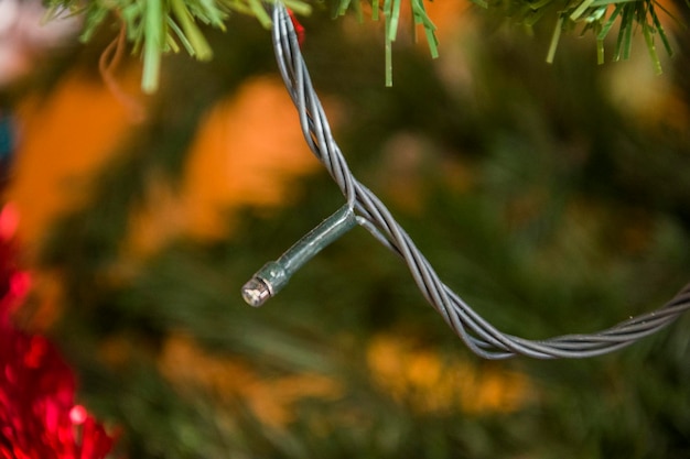 Foto close-up di gocce d'acqua su ramoscello