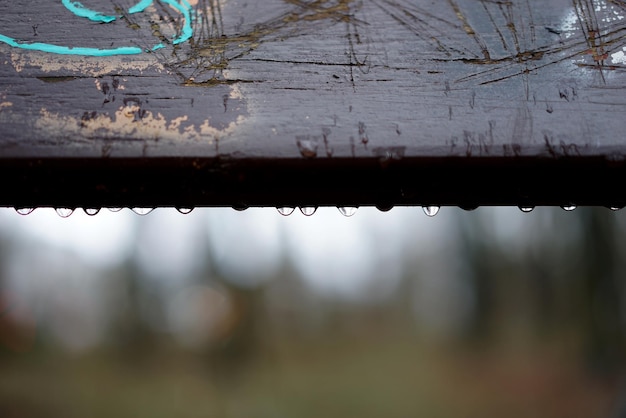 Photo close-up of water drops on wooden fence