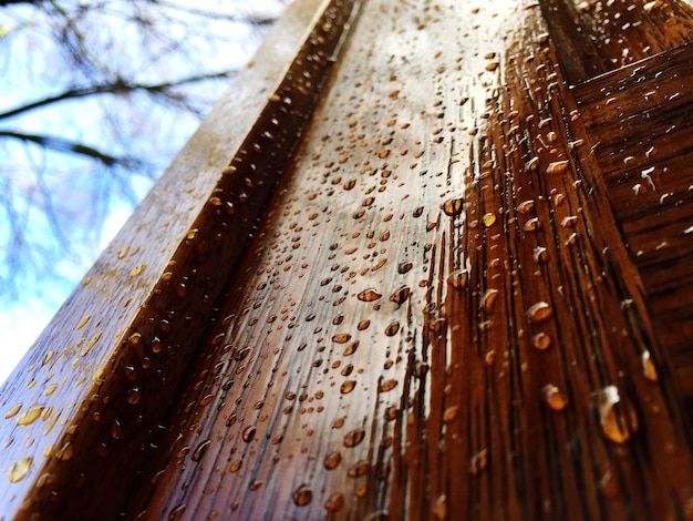 Foto prossimo piano di gocce d'acqua su una struttura in legno