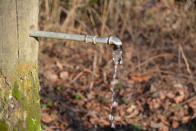 Photo close-up of water falling from pipe