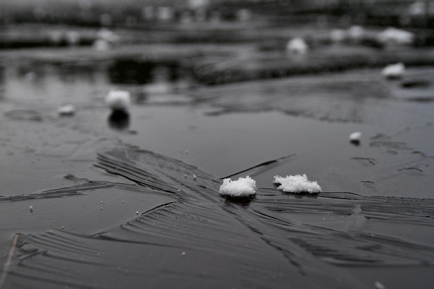 Photo close-up of water floating on lake