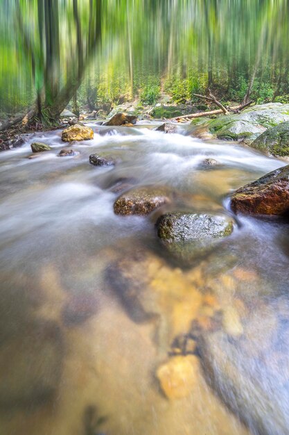 Photo close-up of water flowing in forest