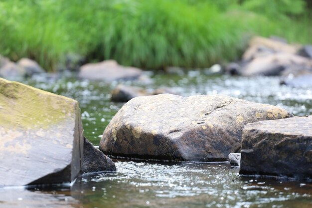 Close-up of water flowing through rocks