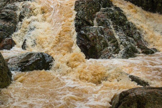 Close-up of water flowing through rocks