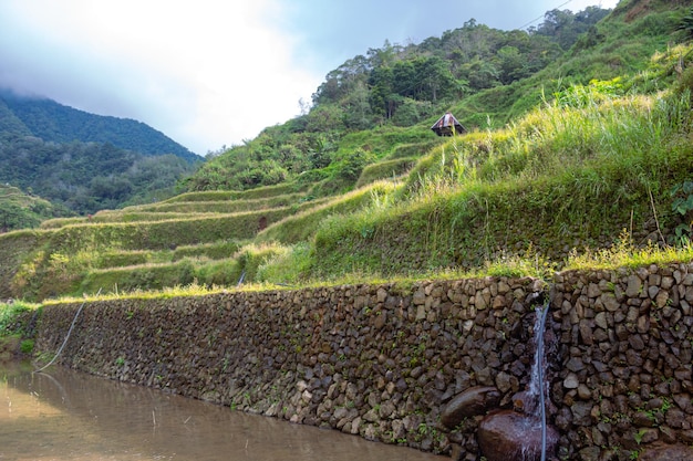 Close up on water going down the UNESCO Rice Terraces in Batad Philippines background image with copy space for text