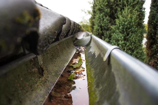 Close-up of water pipe