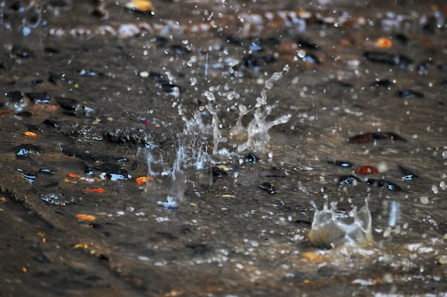 Photo close-up of water splash