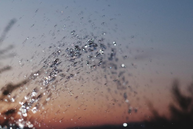 夕暮れの空に水が散らばっているクローズアップ