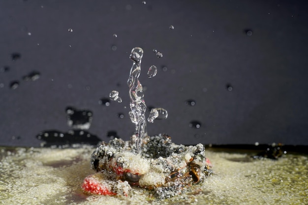 Foto close-up dell'acqua che spruzza sul mare