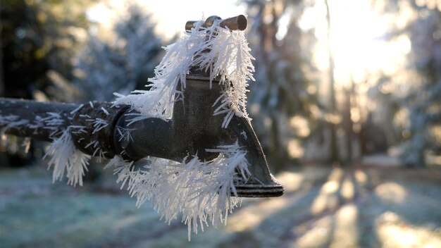 Photo close-up of water tap