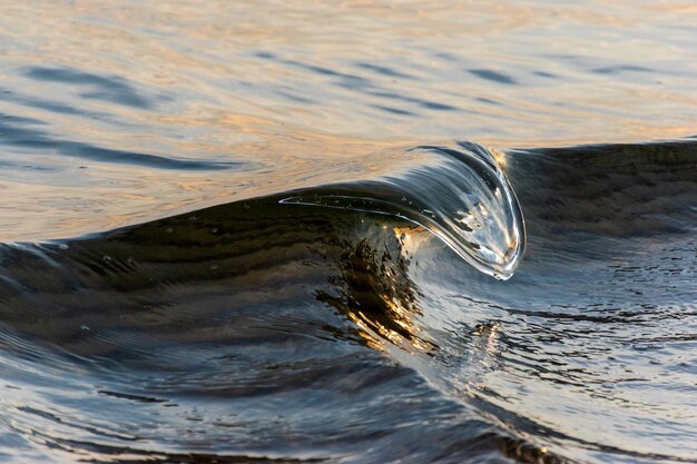 Photo close-up of water