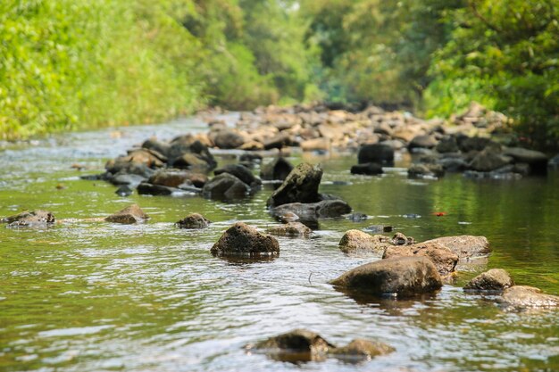 Foto prossimo piano dell'acqua