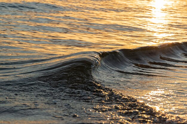 Foto prossimo piano dell'acqua