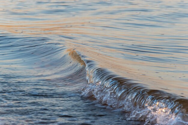 Foto prossimo piano dell'acqua