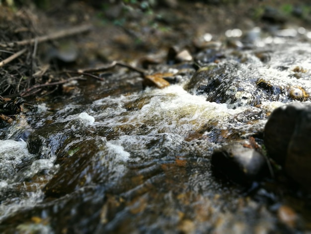 Близкий взгляд на воду