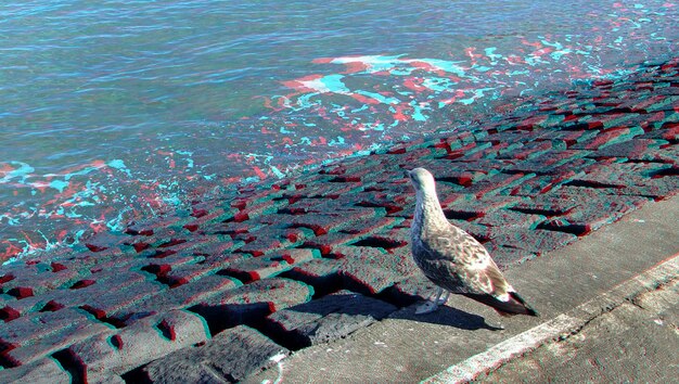 Foto prossimo piano dell'acqua