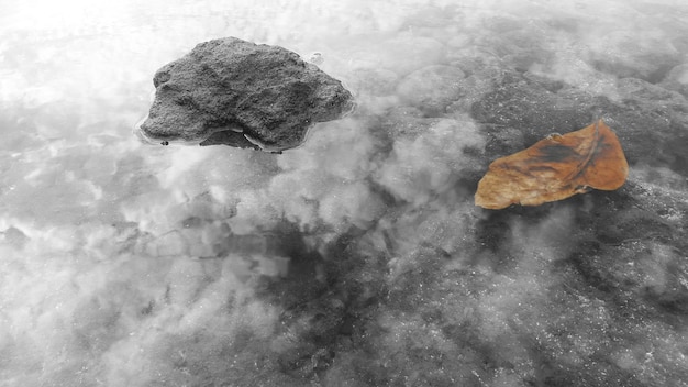 Foto prossimo piano dell'acqua