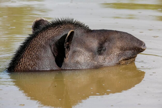 Foto prossimo piano dell'acqua